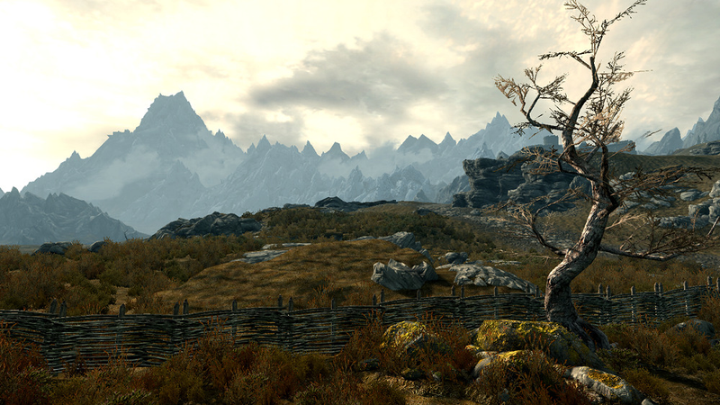 Illustration for article titled The Wonderful Distractions, Sentient Glitches of Skyrim's Massive World